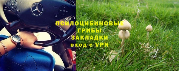 гидропоника Лиски