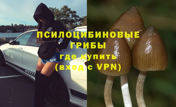 гидропоника Лиски